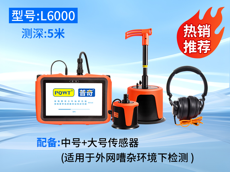 普奇L6000外网漏水检测仪（双探头）