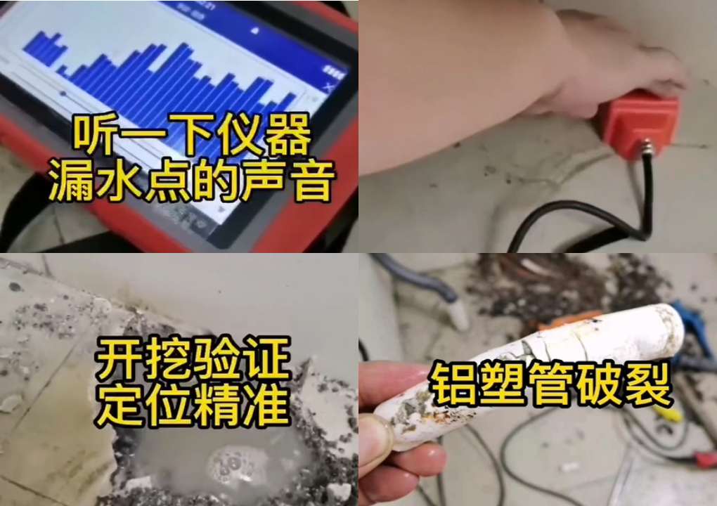 普奇测漏仪案例