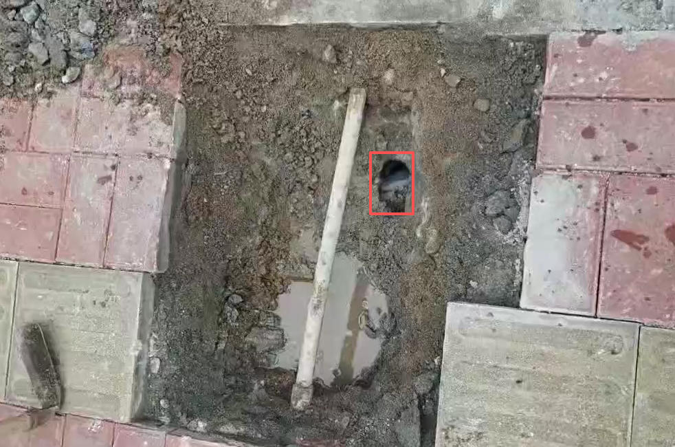 广东云浮自来水测漏开挖案例-1.jpg