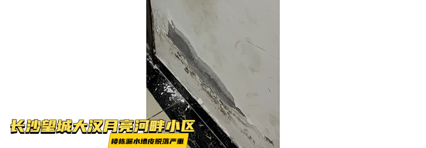 长沙月亮岛水管漏水检测实测案例-11.jpg